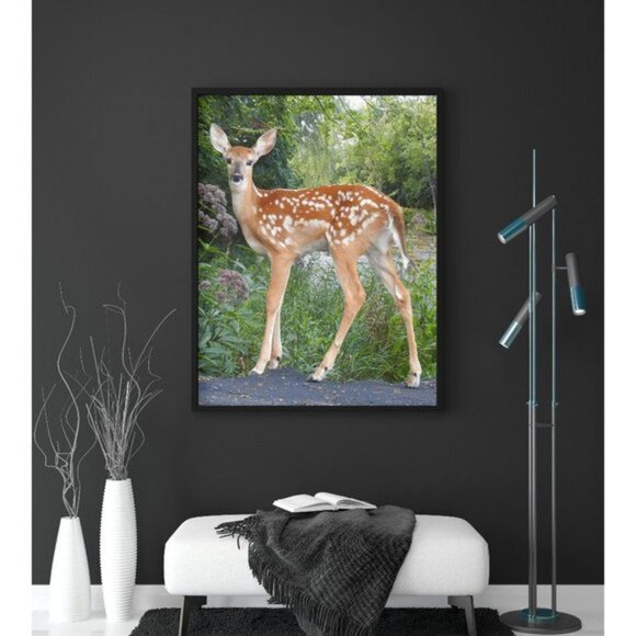 8x10 Baby Fawn Deer‎ Photography Oil Painting Print - Picture 4 of 5